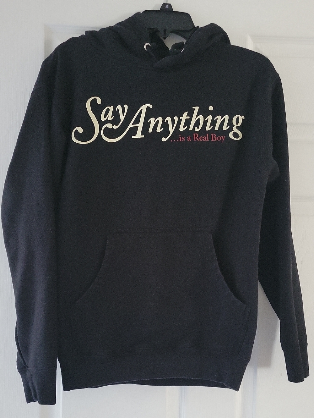 Say Anything ... Is a Real Boy 20th Anniversary tour hoodie